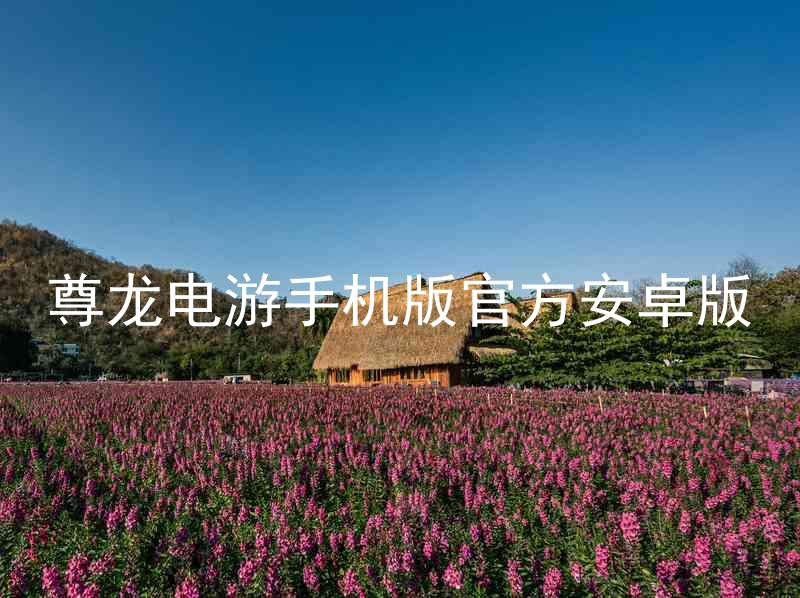 尊龙电游手机版官方安卓版