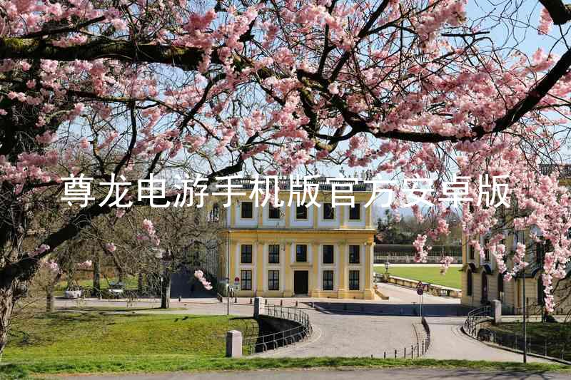 尊龙电游手机版官方安卓版