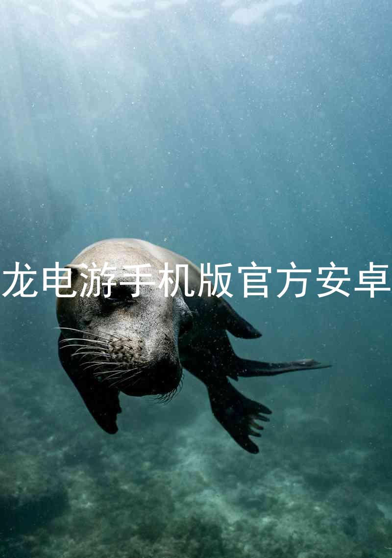 尊龙电游手机版官方安卓版