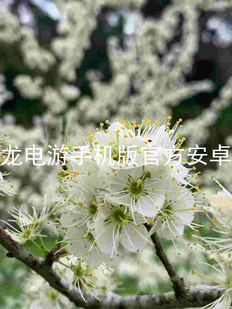 尊龙电游手机版官方安卓版