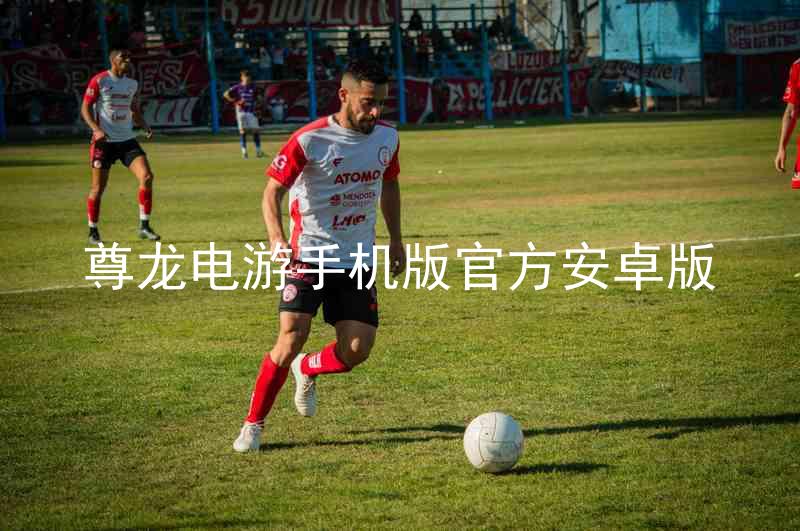 尊龙电游手机版官方安卓版